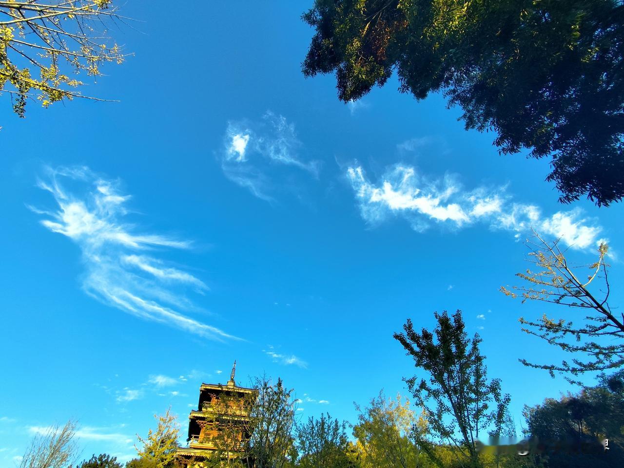 雨打青山万木新，
龙腾五湖千家乐。