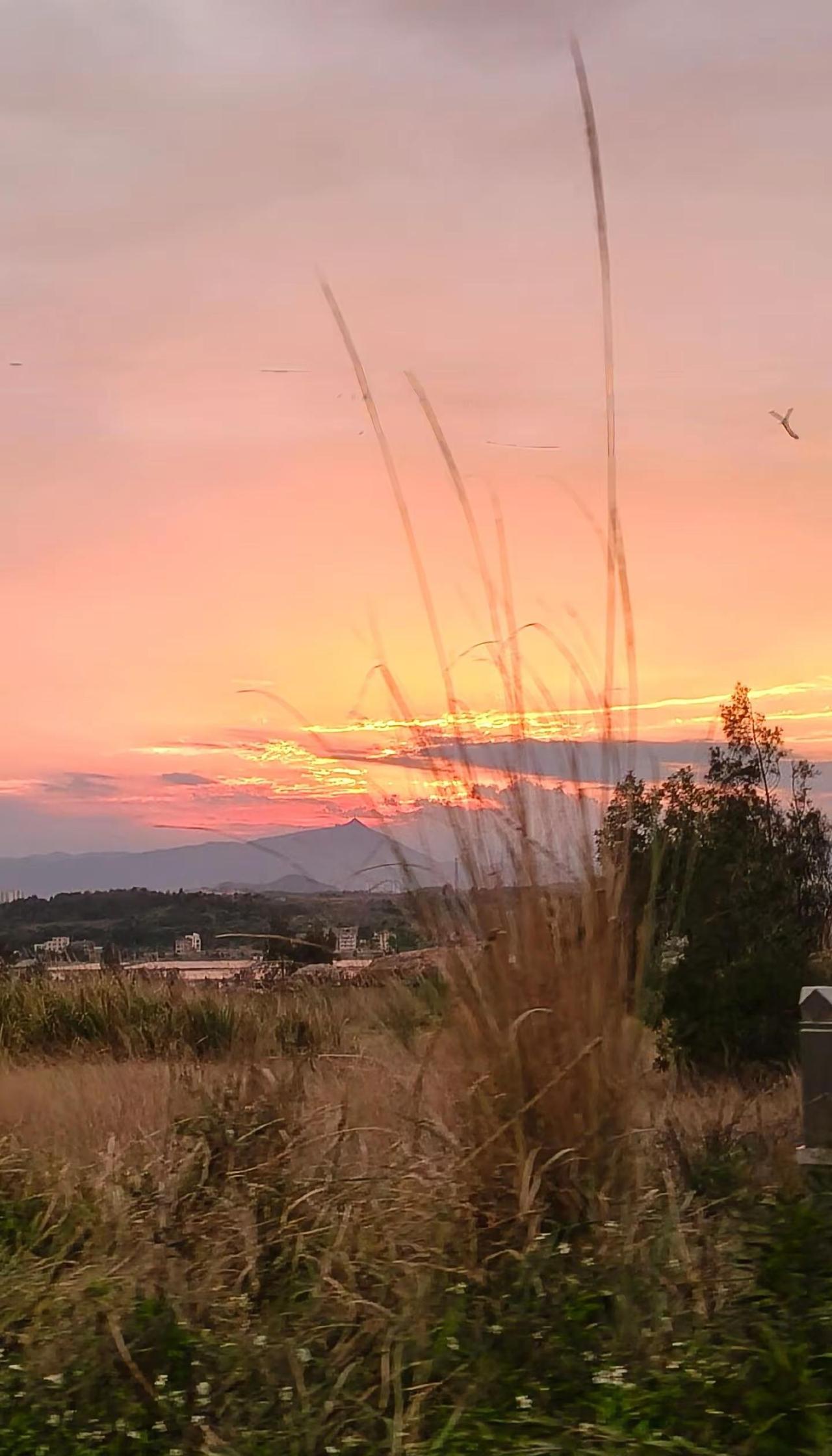 🌅夕阳染红了天边，山顶的风都带着温柔～🌾草尖轻摇