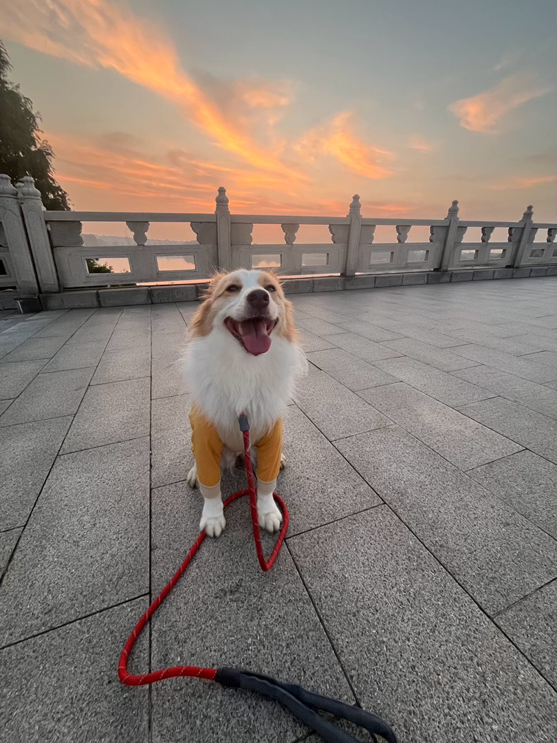 好久不见的五点档千岁日记