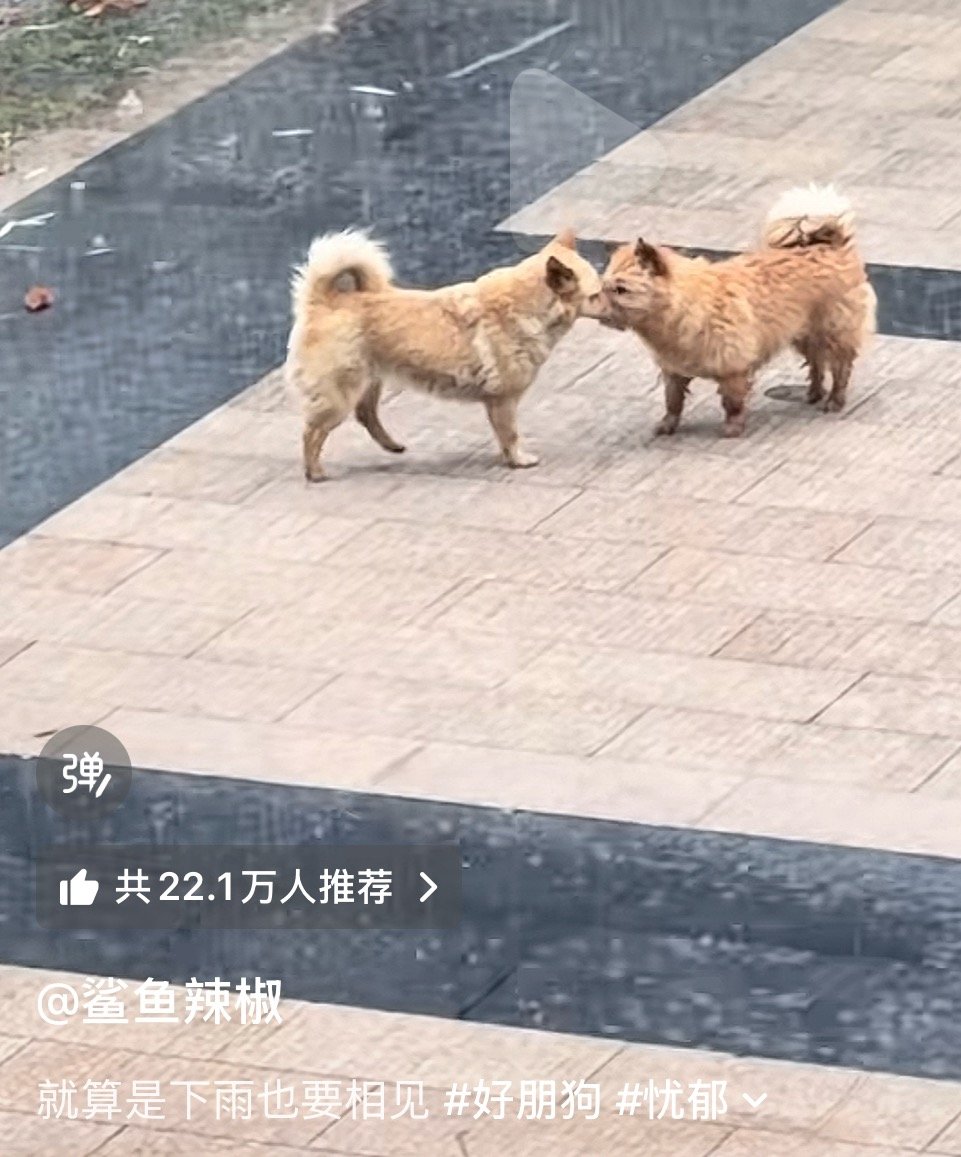 我产 