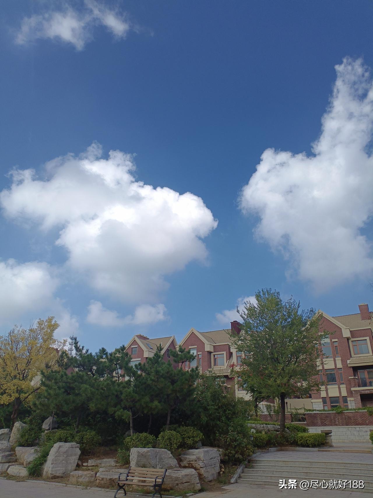 最近几天一直在等医院电话，一直没等来，正常的话，第二天或者第三天就该来电话，通知