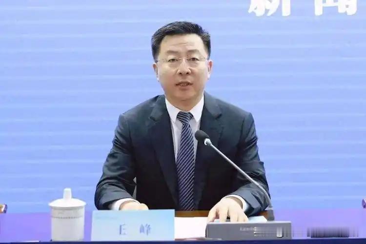 台上大讲廉政，台下疯狂贪腐！博士高官王峰火速落马太讽刺

51岁的王峰被查了，直