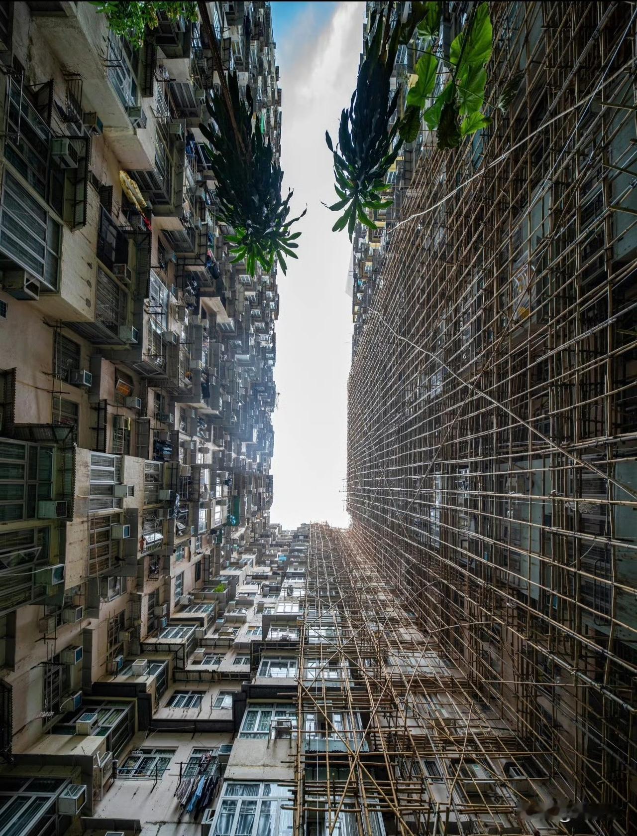 香港大埔五级大火揪人心！94条生命离去，全城救援暖到骨子里
 
香港大埔宏福苑那