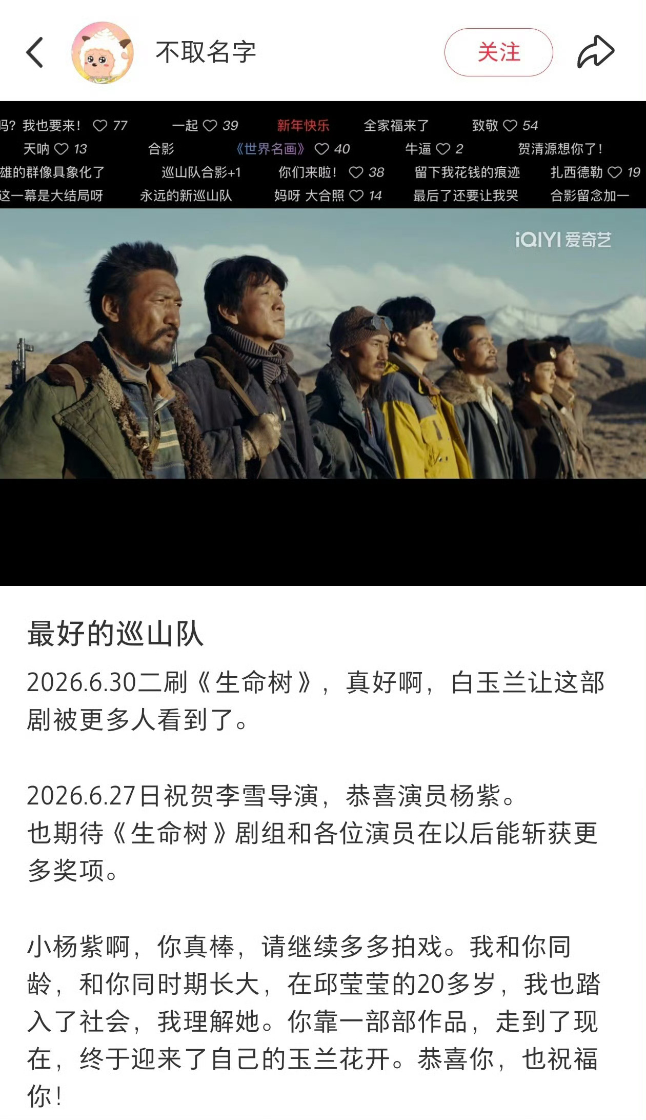 因杨紫白玉兰女主去看生命树 生命树确实值得二刷，看完很震撼，对自然更加敬畏，确实