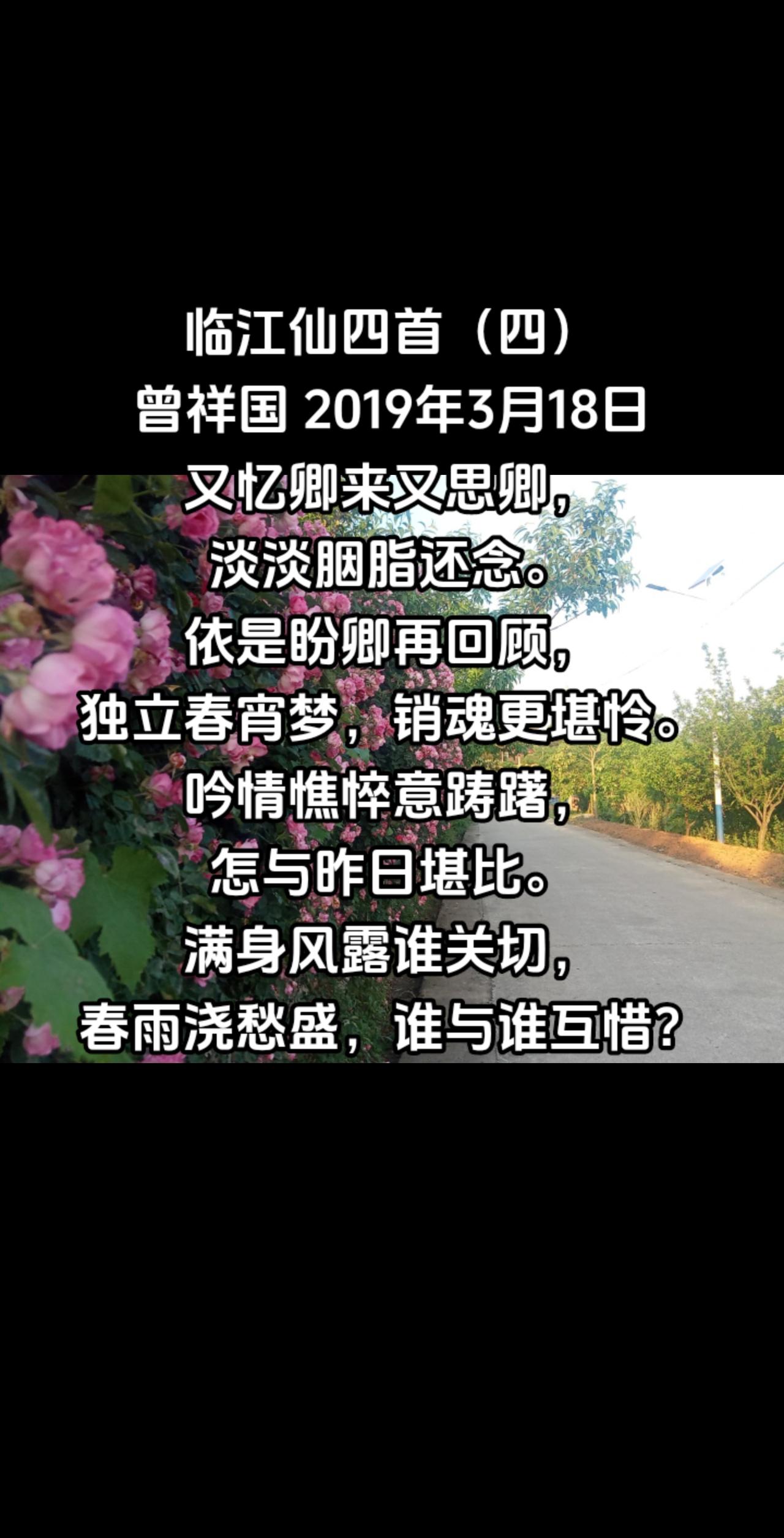 临江仙四首（四）#生活随拍 #从今往后见花如面 #花开忘忧 #喜欢你时风好甜 #