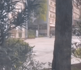 小朋友我是李时珍
#哎这学上的# #考试#