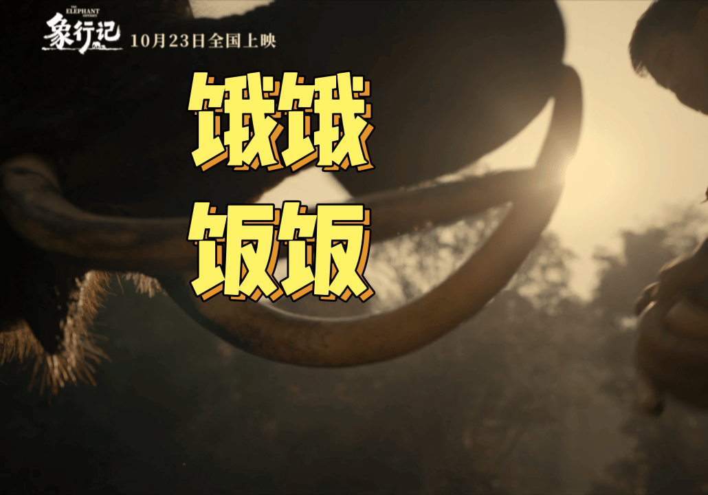 电影象行记定档《象行记》这一次将会让我们体验到不一样的震撼，深刻记录了一场人与自