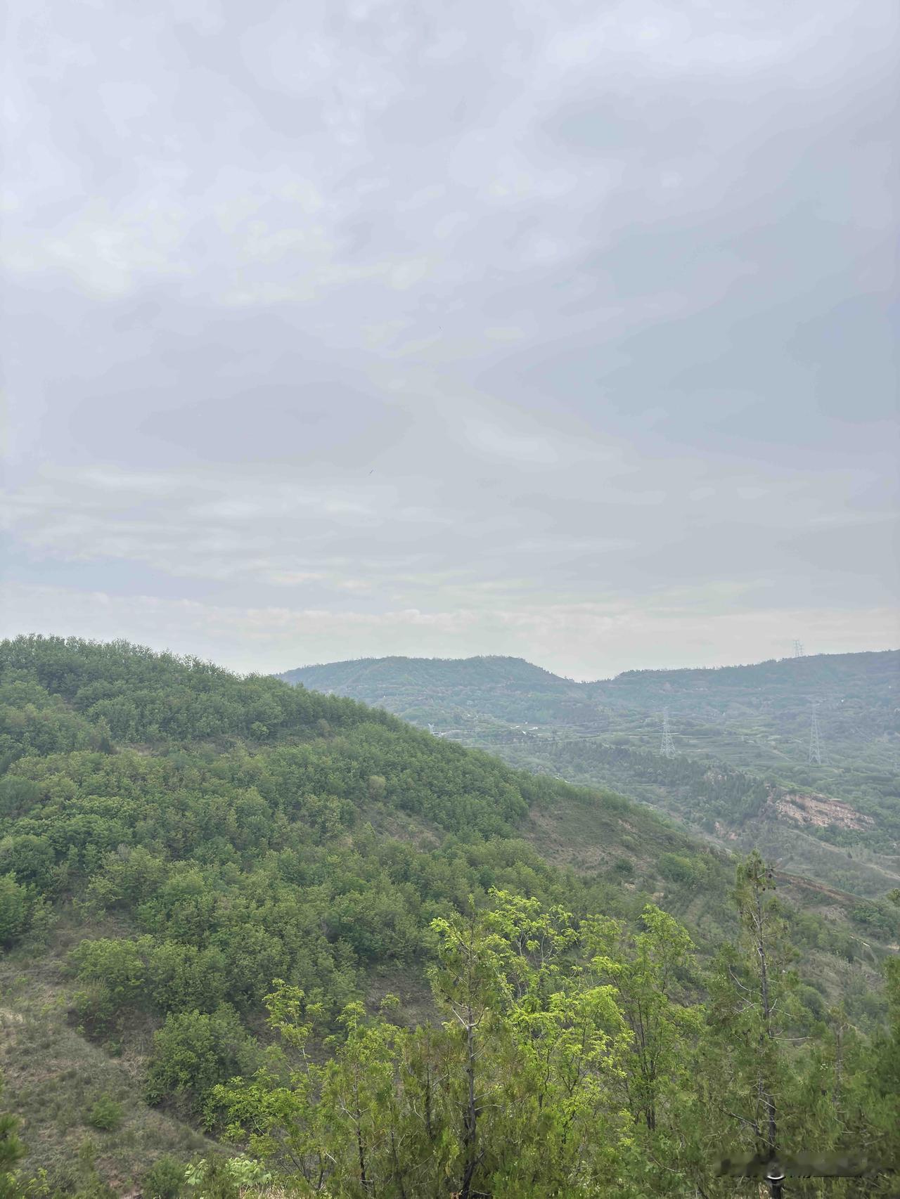 蓝田横岭随拍，这是在上付村附近随拍的，顺着冯家村往上直走下个坡就到。这里好多杏树