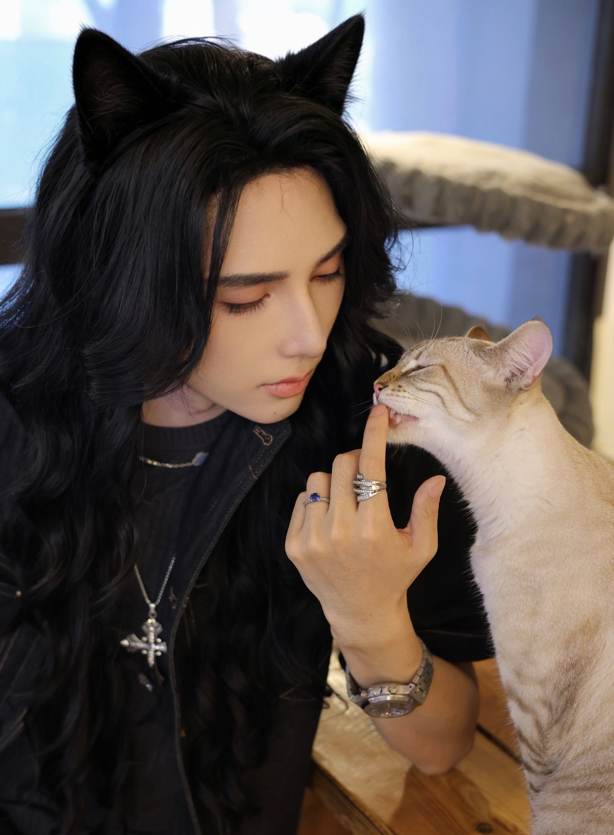 申请和猫换位置 