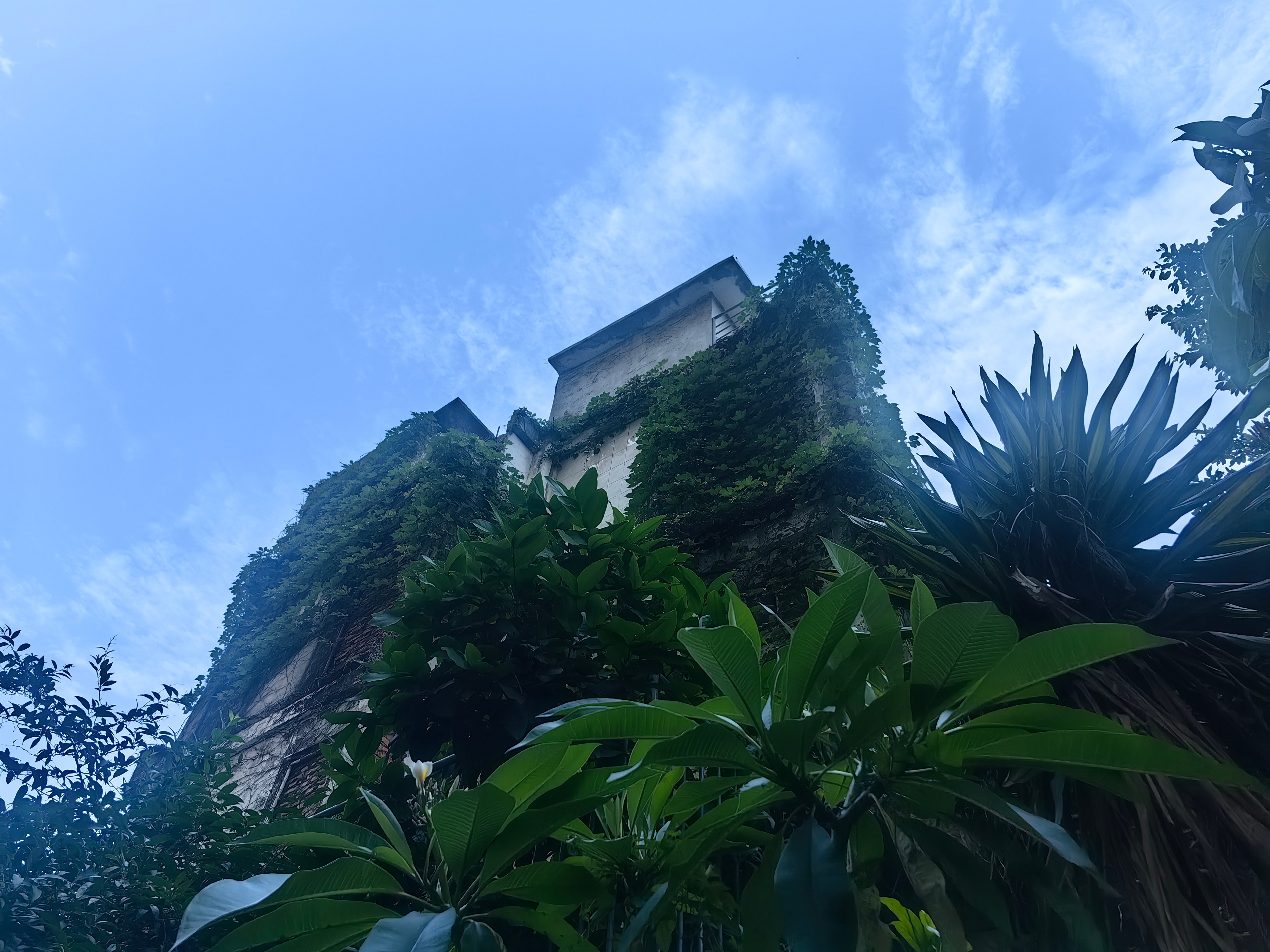 天气炎热。注意防暑。 