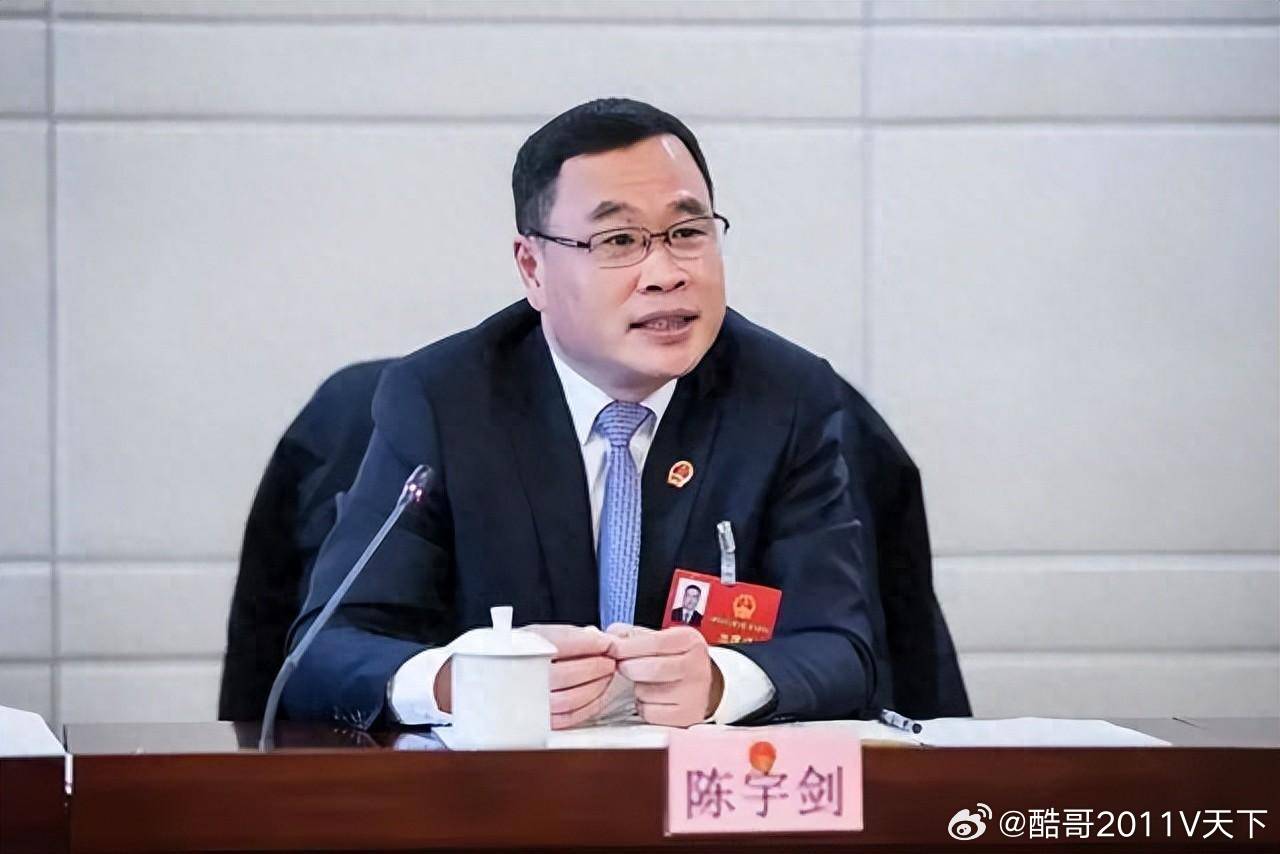 微博知名博主 上海市政府党组成员、副市长陈宇剑接受中央纪委国家监委纪律审查和监察