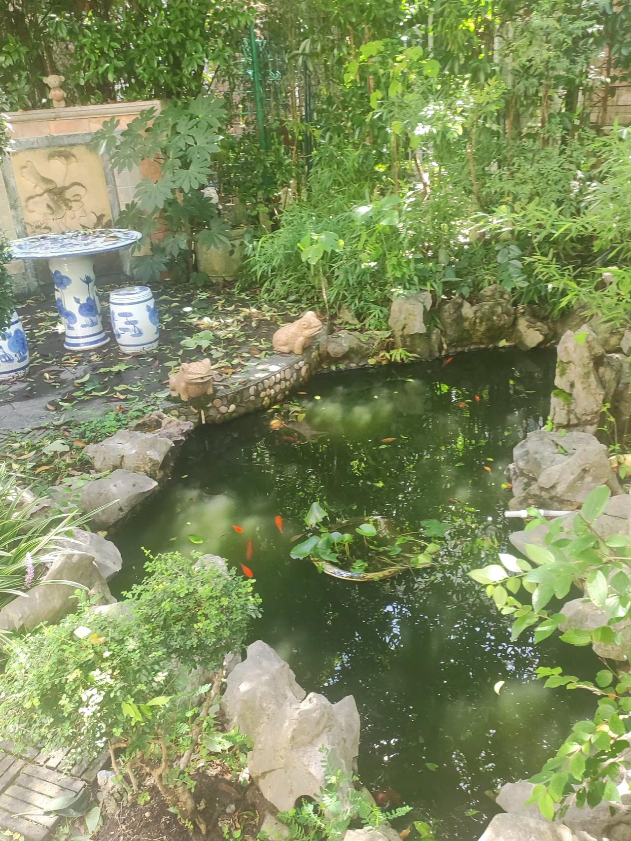 又是中秋，双儿分西东
天不绝人，还把月儿留
清秋小院，鱼我对愁眠
空房独守，何求