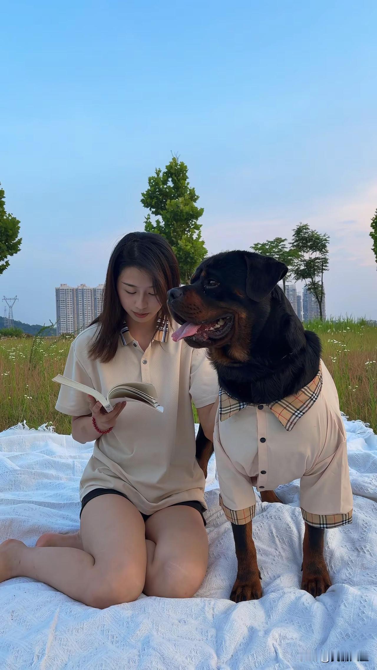记忆中语文课本封面的长江大桥