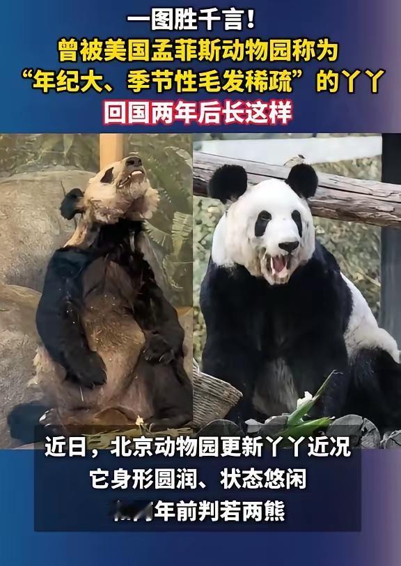 前事不忘，后事之师，丫丫就是一面镜子！@豆包目前暂居海外的丫丫的兄弟姐妹知多少，