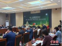 据中巴智库联合统计，有750余家海外山寨媒体轮番抹黑中巴合作。有意思的是，官方明