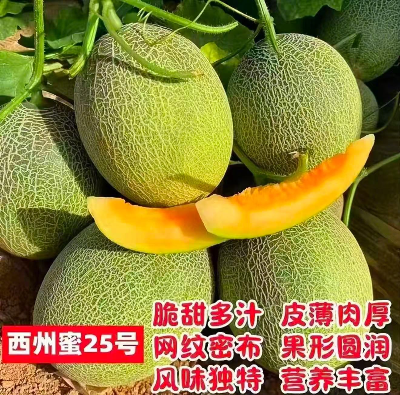 最近测的品，还有这款新疆哈密瓜🍈也是真的很惊艳！甜度高、脆度好、水分足，越往中