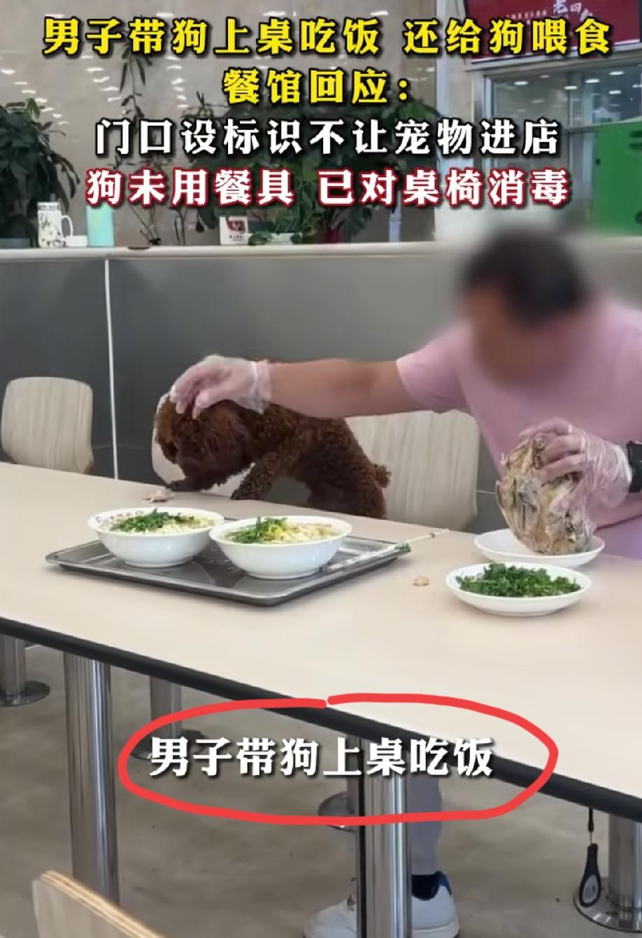 6月16日 辽宁沈阳。一餐馆内，网友拍到一名男子带泰迪坐在就餐餐椅上，徒手掰鸡架