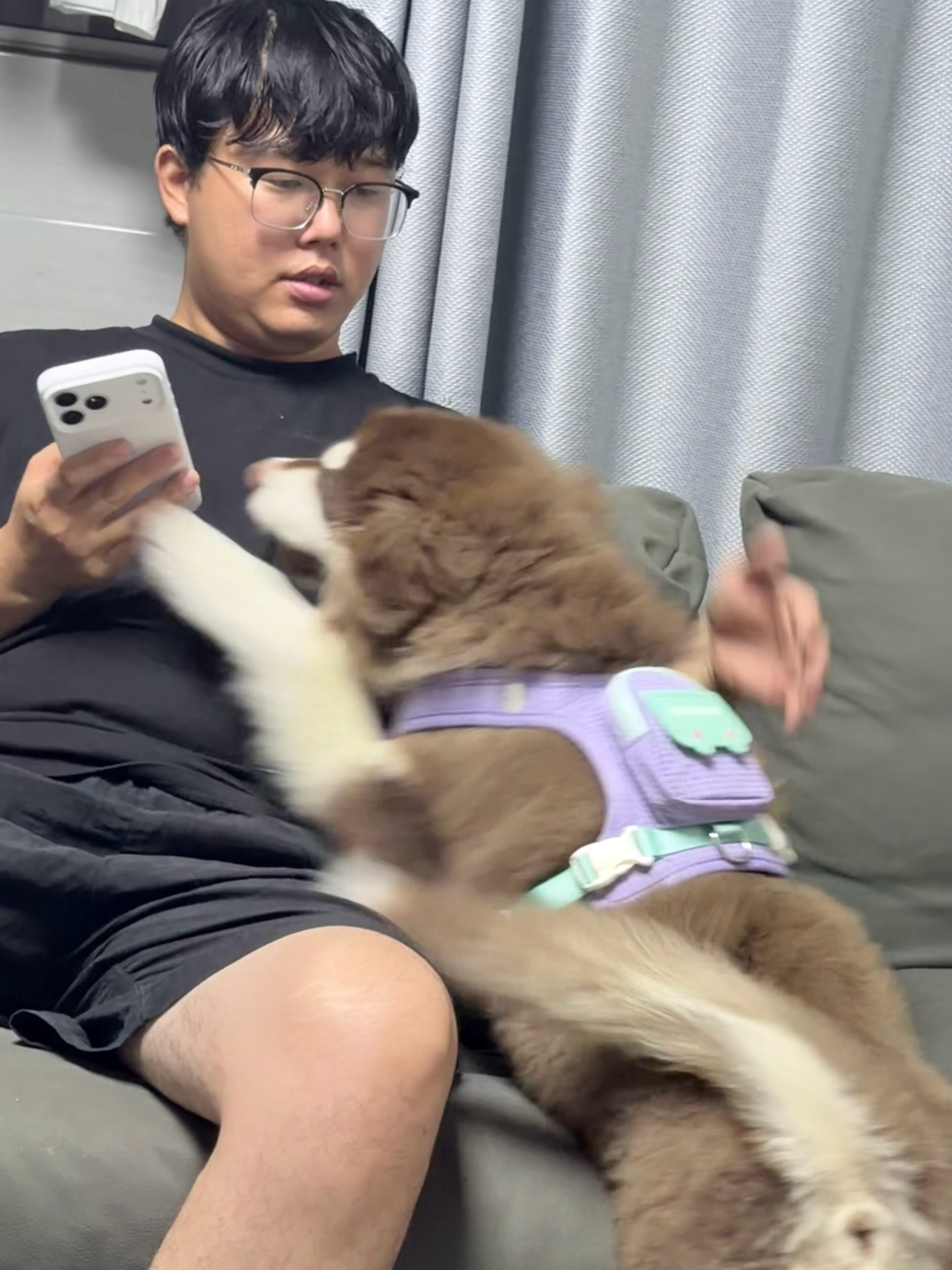 开心的😊  ​​​