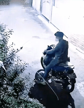 看你以后还偷不