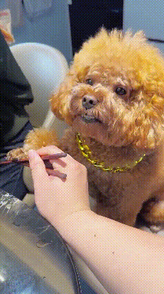 没有什么是一根火腿肠
解决不了的！
看不见，
我没看见，
我啥也看不见了！
[我