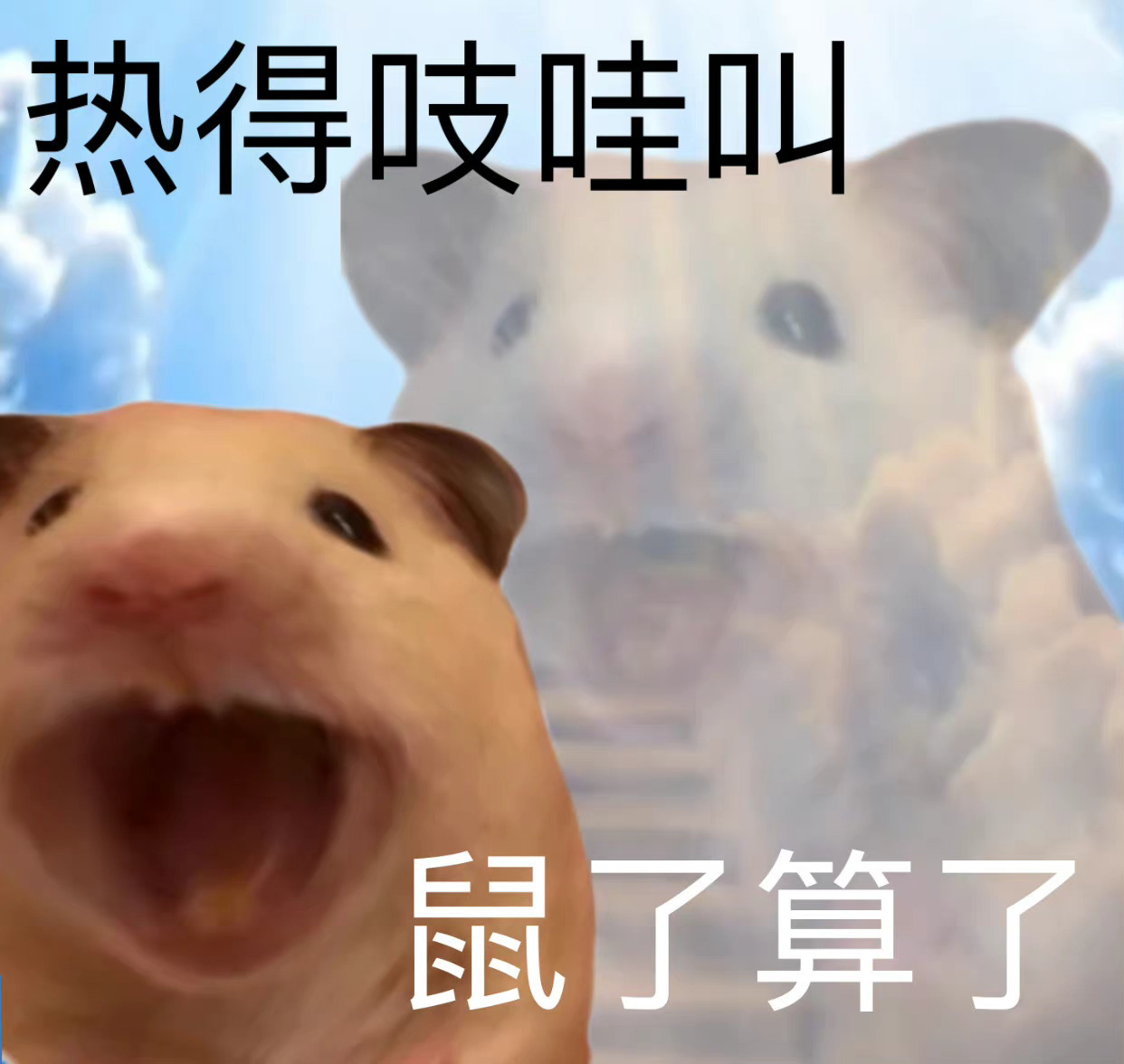 每天一个冷知识 当外界温度高于人的体表温度，且阳光比较毒辣，穿得少的人可能比穿得