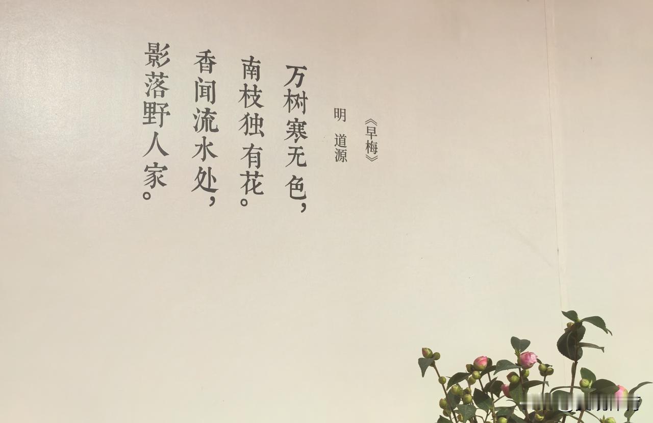 《早梅》
明•道源
万树寒无色，
南枝独有花。
香闻流水处，
影落野人家。