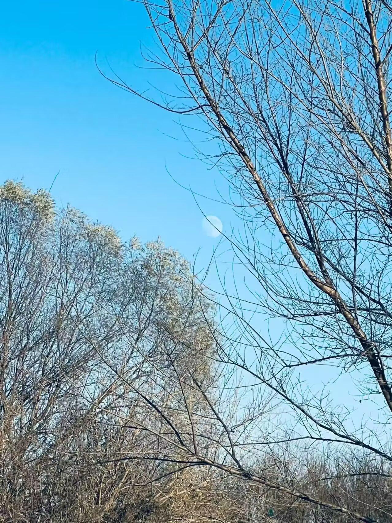 与鸿蒙共赴星光之约