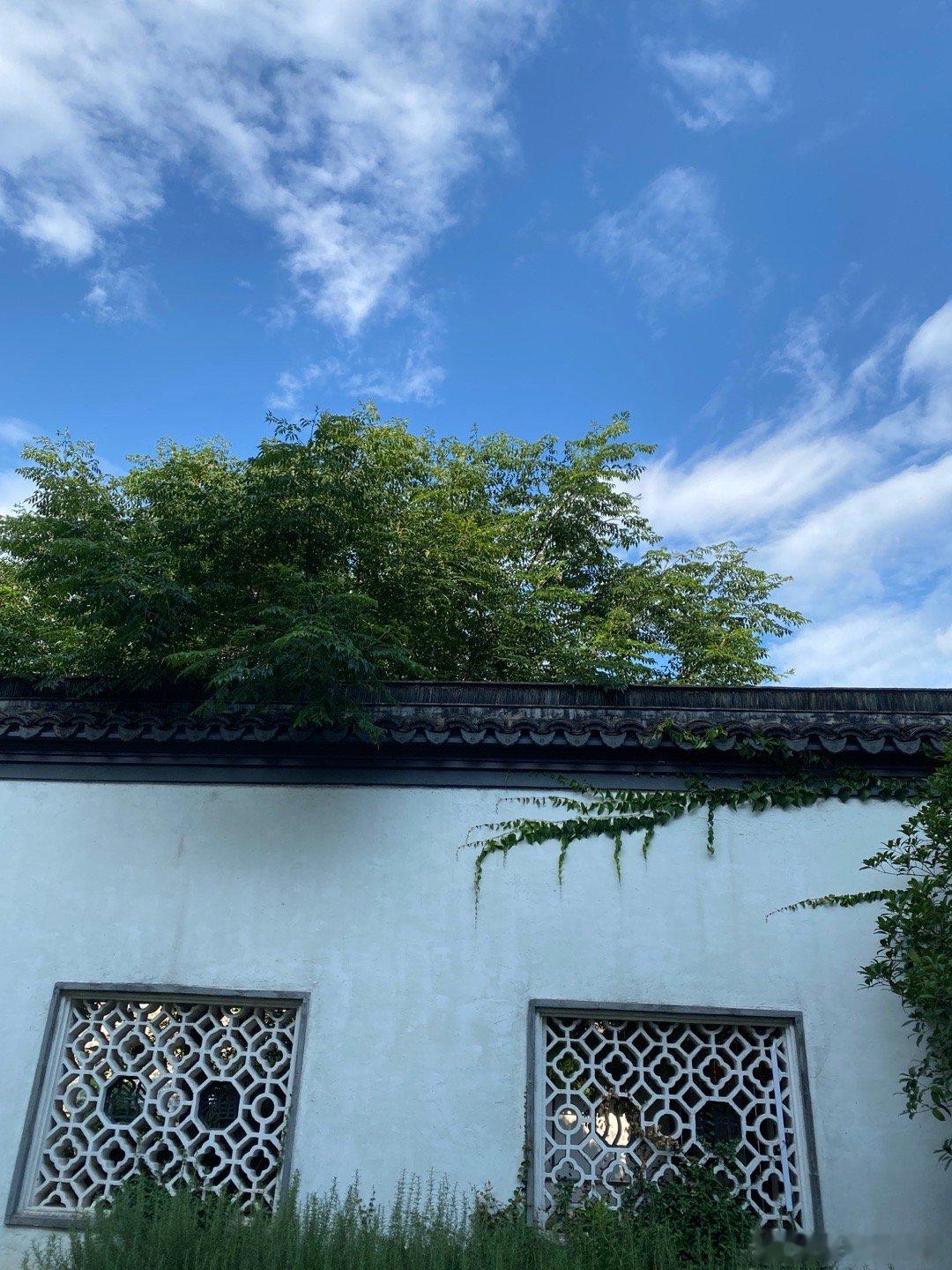 好美啊，lv快点抄。华夏文艺复兴lv起诉茉莉奶白判赔1030万