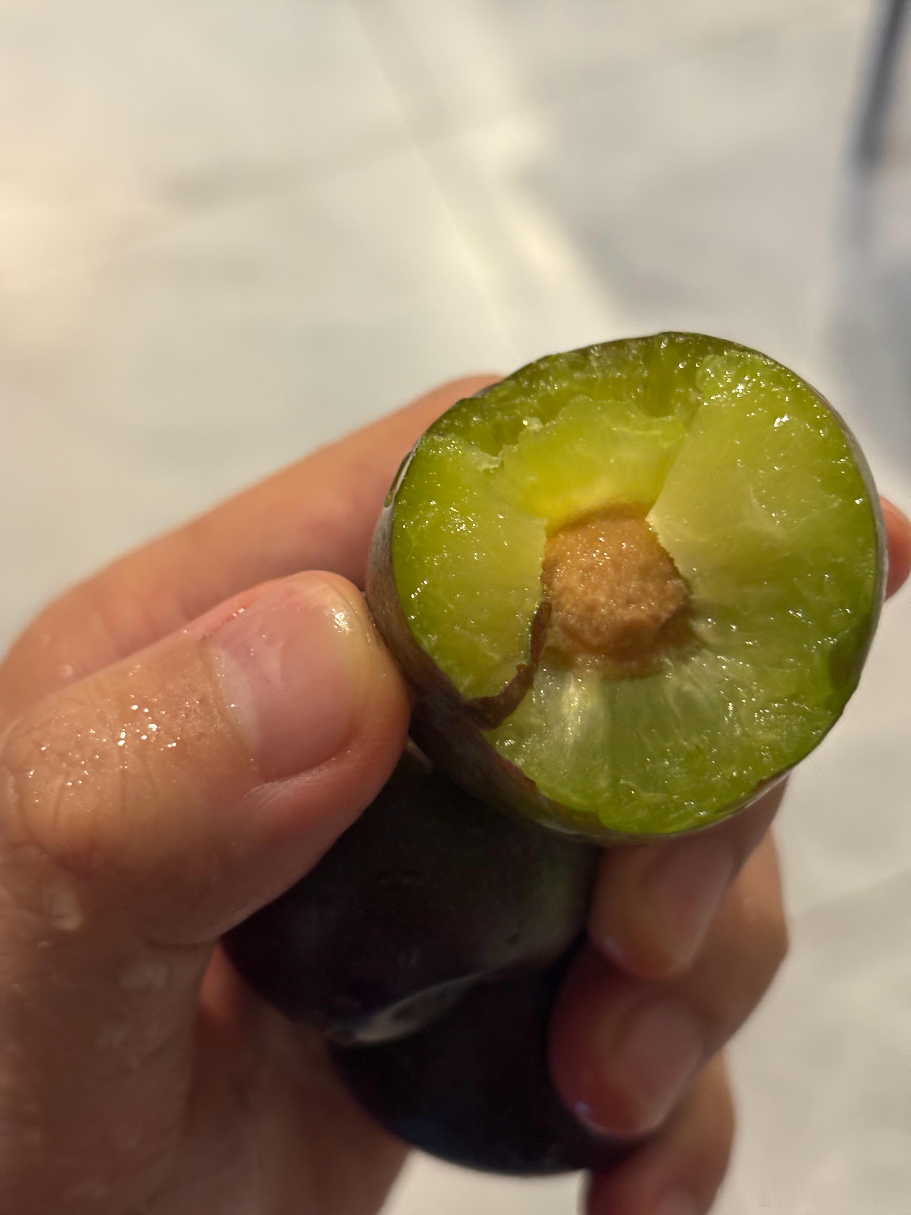 文宫的凤凰李开了！说实话这个李子甜度没有蜂糖李甜度高，但也是好吃的脆李子，个头更