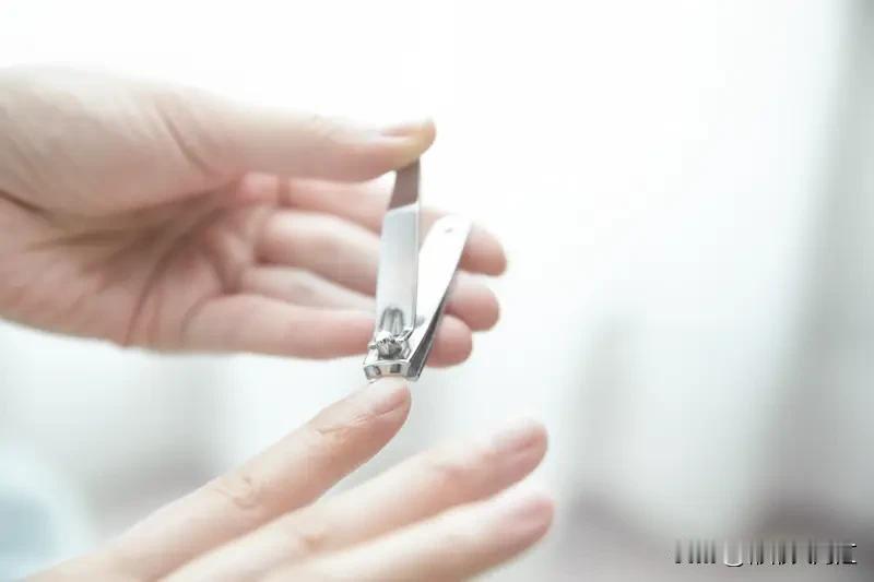 铲屎官大多会给猫咪剪指甲。我家猫每周都得剪一次，这是日常护理的必要环节。剪之前得