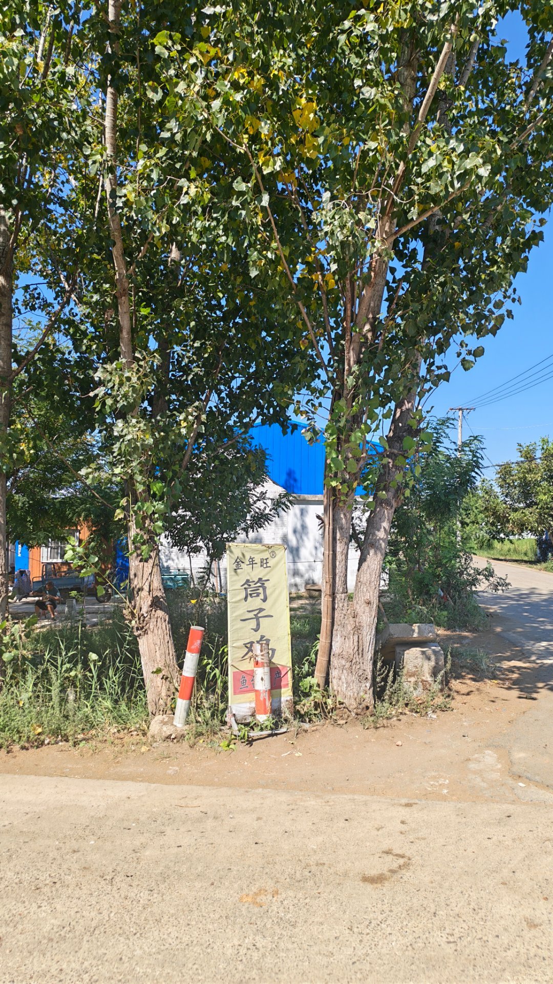 筒子鸡，广告  ​​​