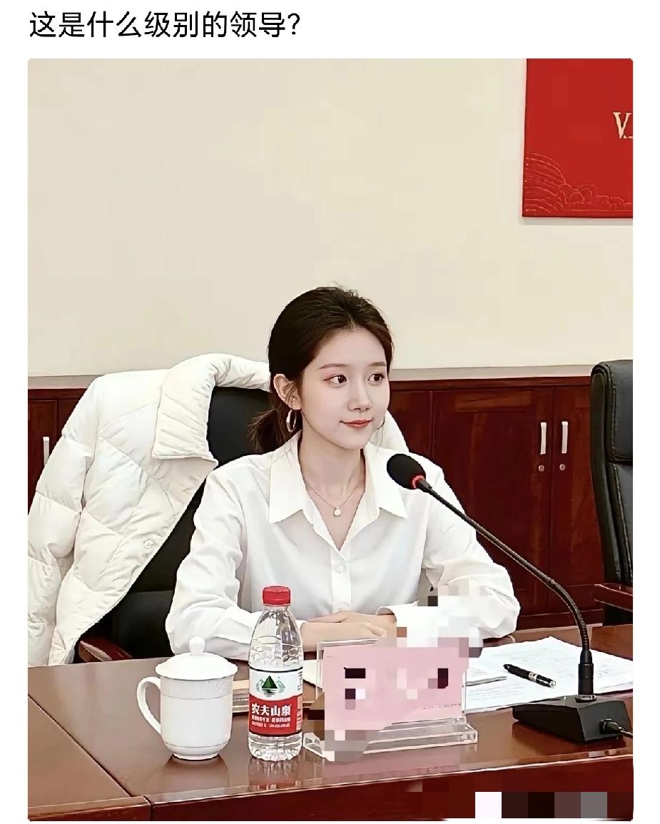 在体制内，这样的女生一般是担任什么级别的职务？