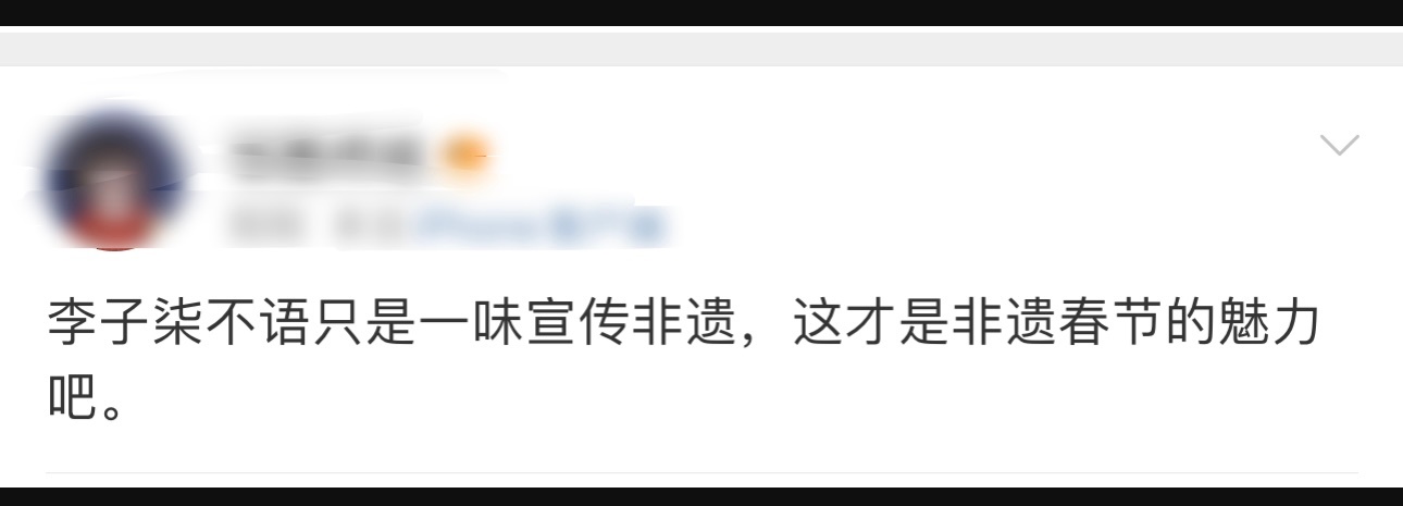 李子柒不语只是一味宣传非遗 李子柒不语只是一味宣传非遗，在面对首个非遗春节表示在