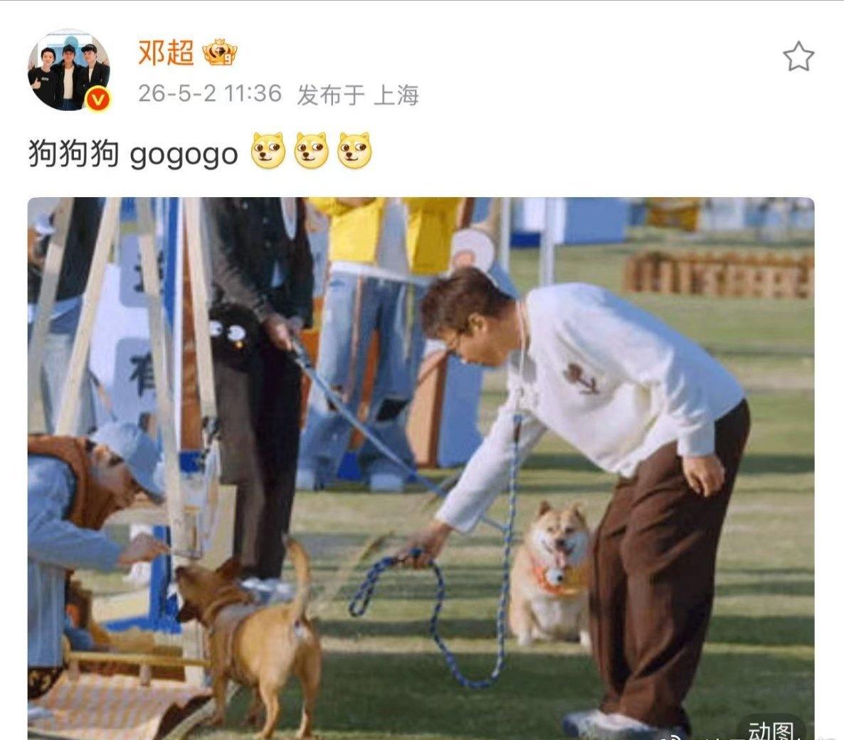 笑到停不下来，邓超和狗狗互换身份，项圈一戴氛围感拉满 ​​​