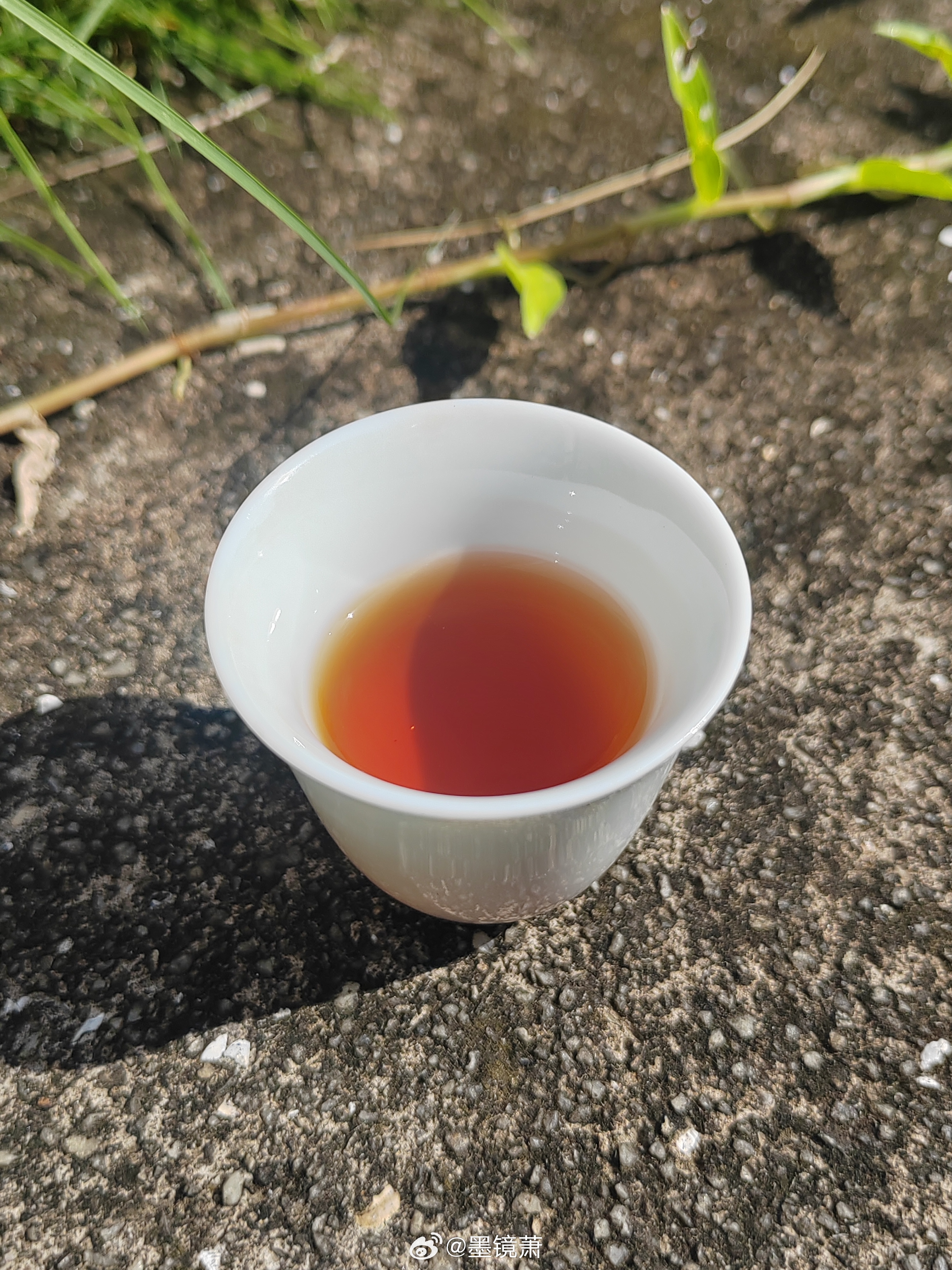 端午一过，暑气便从地底蒸腾上来。父亲却在这样的时节里支起了焙笼，这是炭焙铁观音最