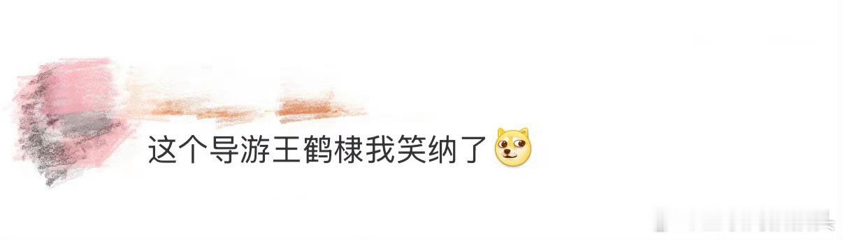 这个导游王鹤棣我笑纳了这个导游王鹤棣我笑纳了墨镜一戴超有范儿，介绍景点嘴甜梗多，