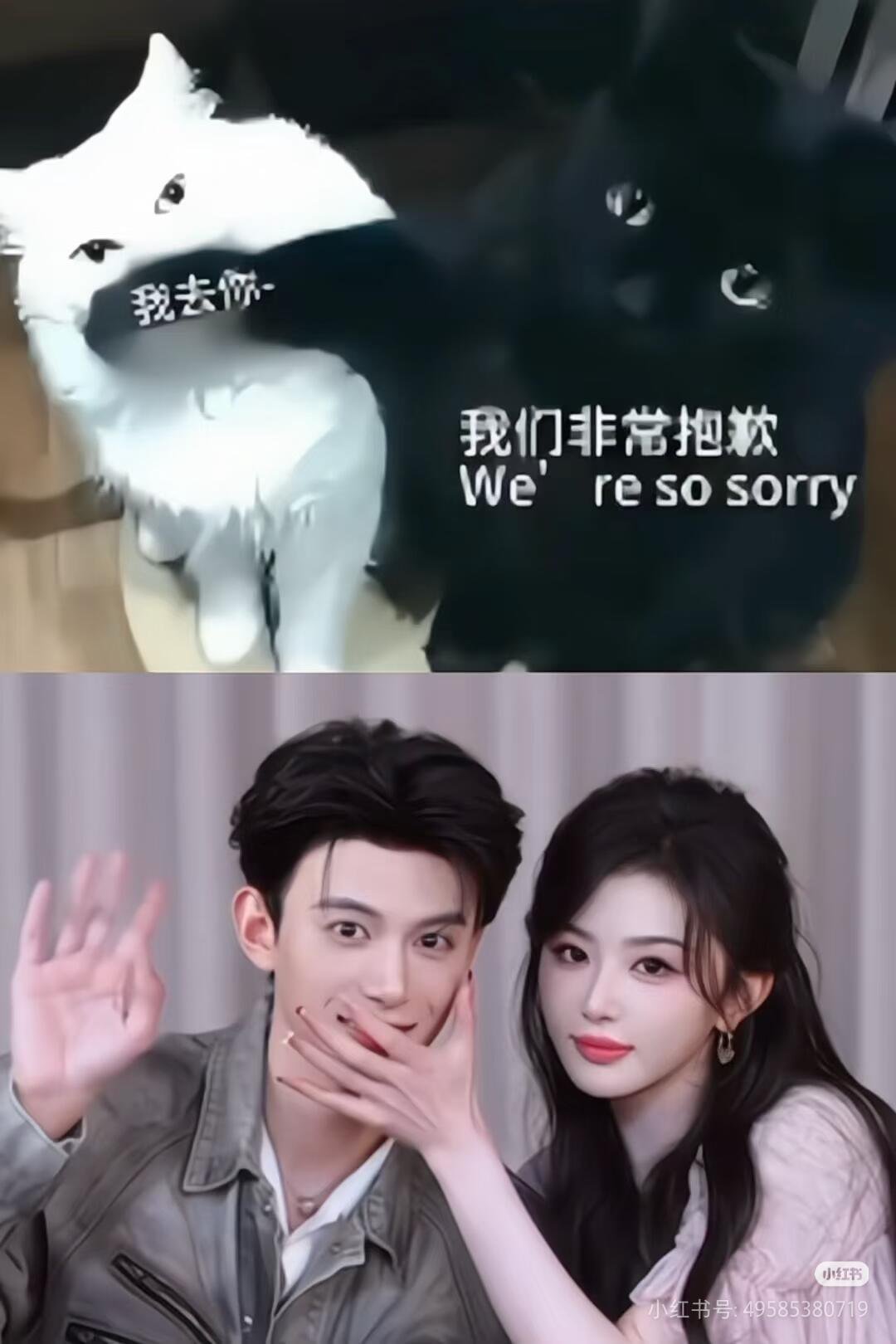 不结婚很难收场啊，算了先把三搭安排上吧不齐而俞｜你好星期六 