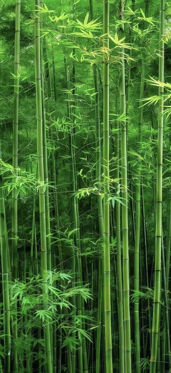 上联：青竹枝枝秀
下联：素兰叶叶幽
