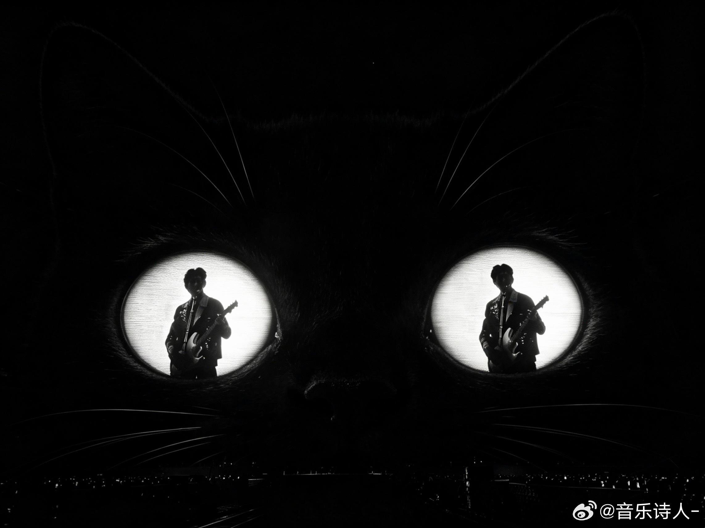 嗯对。哥哥也可以是猫猫。