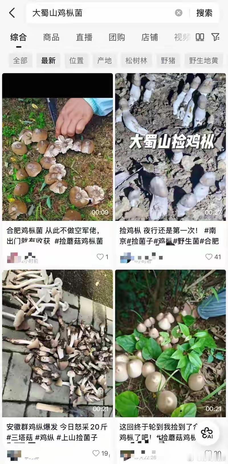 合肥大蜀山打野蘑菇采食风险高据大皖新闻报道：市民跟风网络“打野”热前往大蜀山采摘