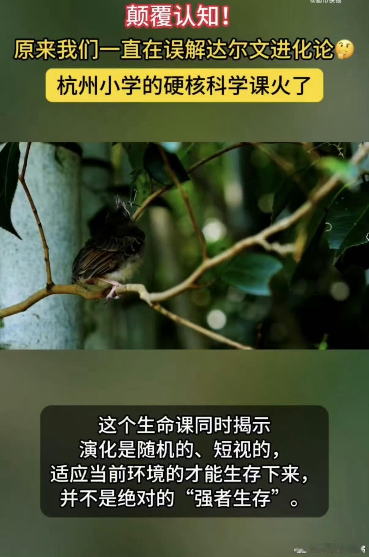 原来我们一直在误解达尔文进化论  好有意义的儿童节专属科学课堂，杭州小学这波可以