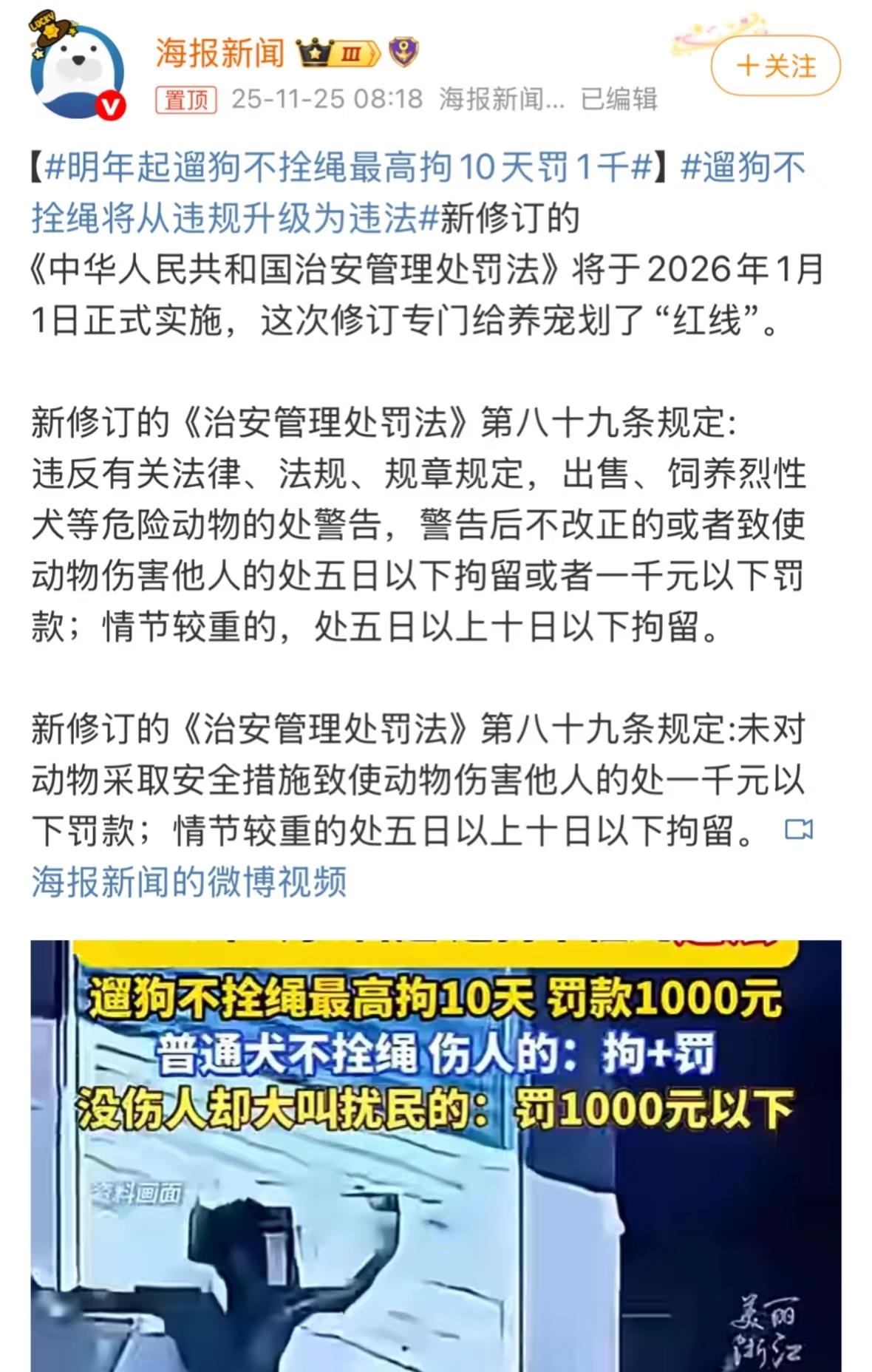 “明年起遛狗不牵绳最高拘留10天，罚1000”
这条即将实行的规定引起网友热议。