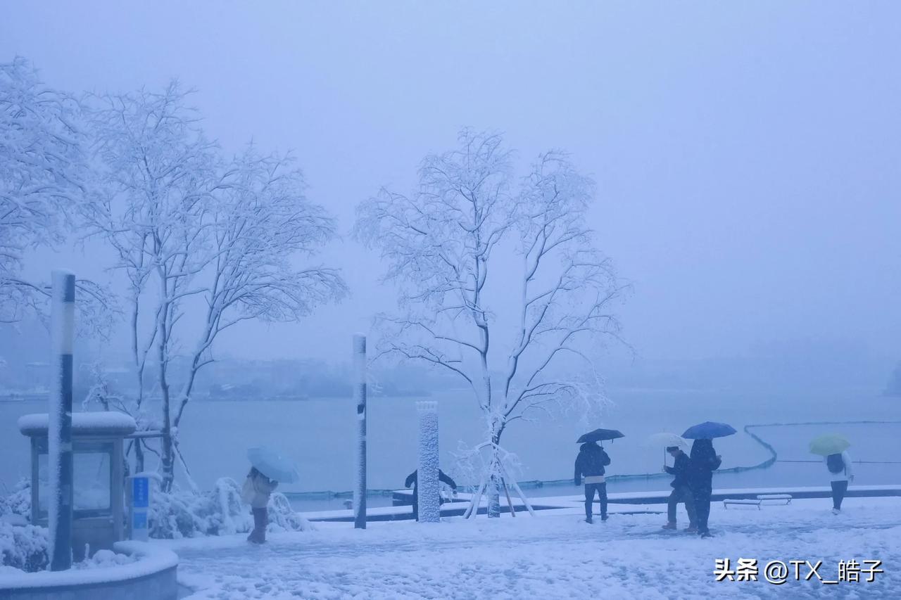 转眼马上又是新的一年。