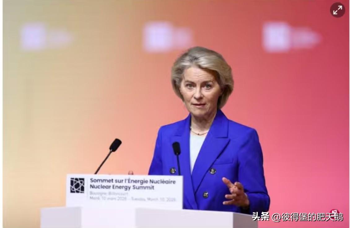 【冯德莱恩：欧洲放弃核能是"战略性错误】

欧盟委员会主席乌尔苏拉·冯德莱恩3月