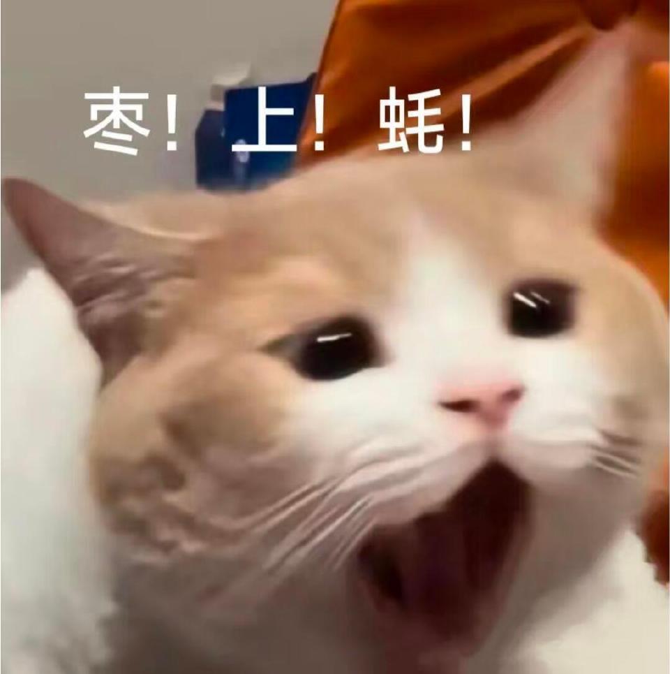 早上好～💛 