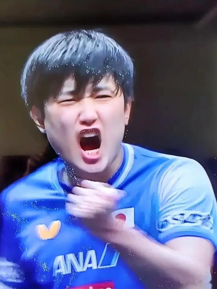 世界乒坛名宿眼中的张本智和马龙：无论对面站的是谁，张本智和一直敢拼，我非常欣赏他