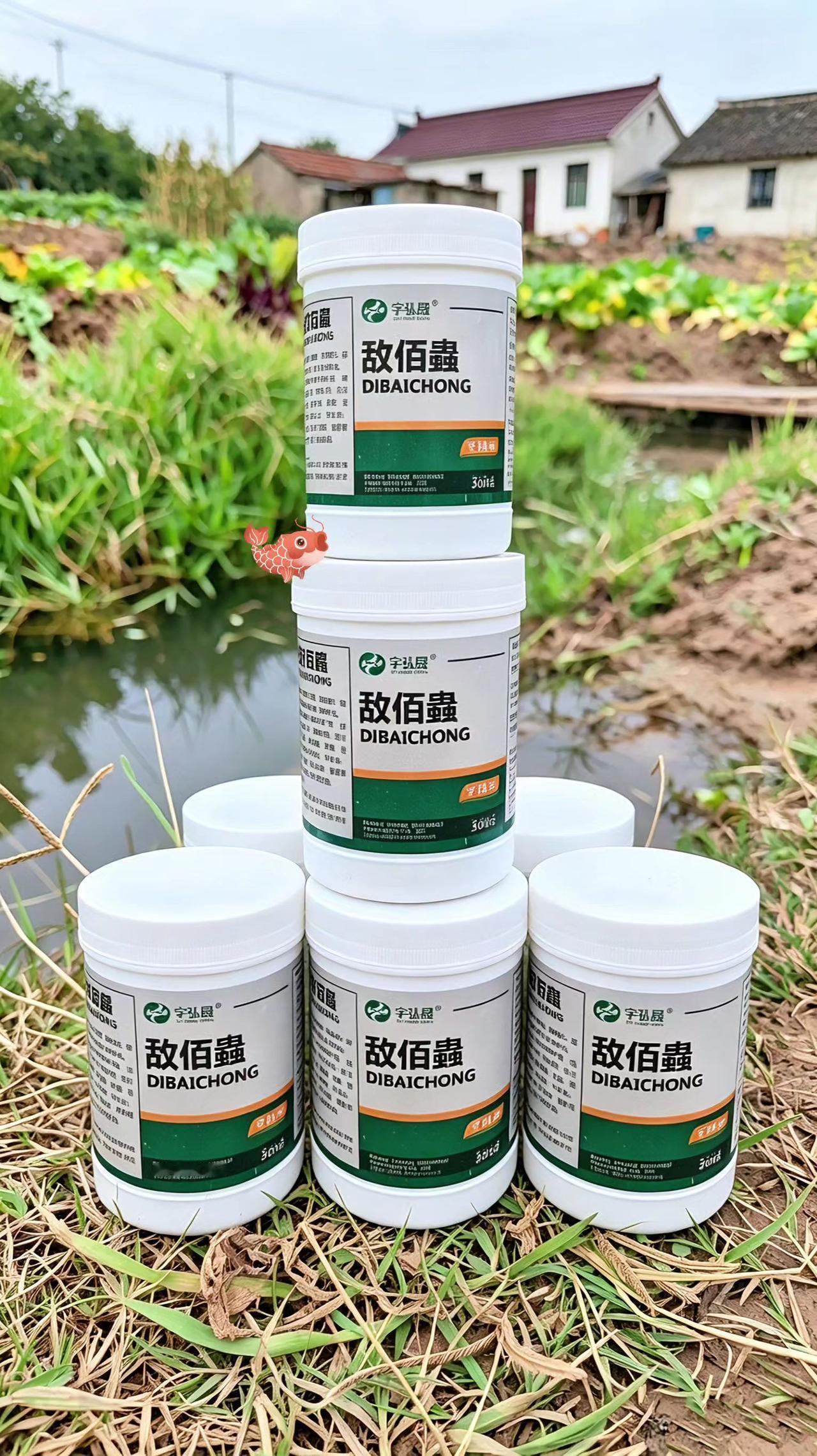 敌佰蟲 鱼塘养殖 鲢鱼 鲤鱼 草鱼