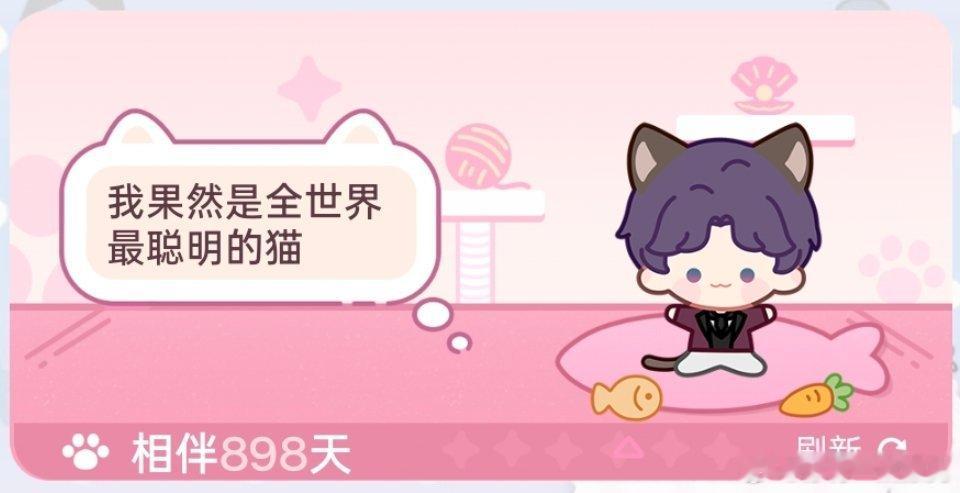 我果然是全世界最聪明的猫 