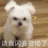 甜甜圈爱聚体育