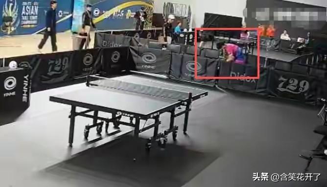 当张本智和打飞最后一个球的时候，比分定格的瞬间，他的心凉了，他扶着球台跪了下去，